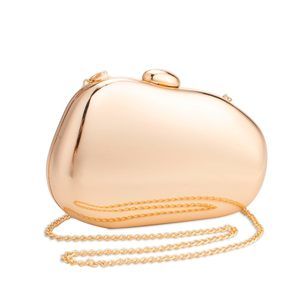 Acrylic Clutch Purses Gold Metallic Purse Silver Unique Handbag :'D